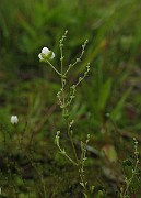 IMG_2156