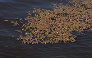 IMG_8761