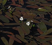IMG_8764