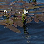 IMG_8769