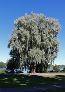 IMG_5796