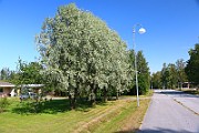 IMG_6638