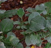 IMG_6802