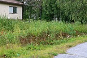 IMG_6927