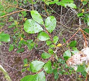 IMG_7301