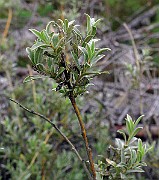 IMG_1852