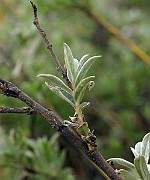 IMG_1853