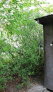 IMG_6775
