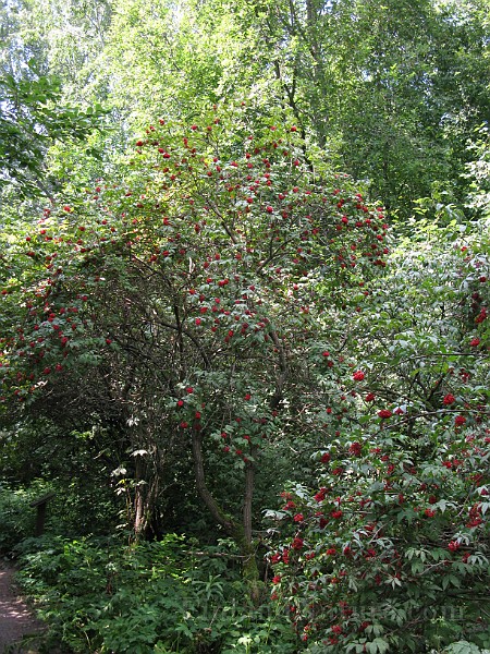 IMG_3181.jpg