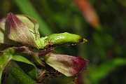 IMG_3962