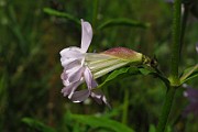 IMG_3967