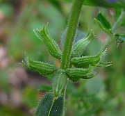 IMG_3369