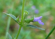 IMG_3373