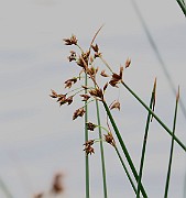 IMG_1102