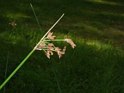 P1040230