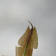 IMG_4970