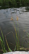 IMG_4977