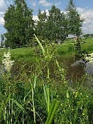 IMG_3750