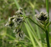 IMG_6392