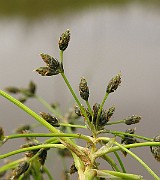IMG_6394