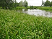 IMG_6403