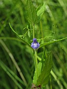 IMG_1644