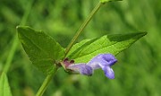 IMG_1646