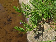 IMG_3442
