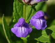 IMG_5839