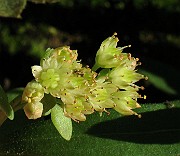IMG_4381