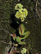 IMG_8094