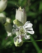 IMG_7768