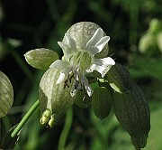 IMG_7770