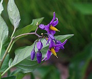 IMG_0697