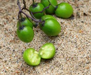 IMG_0701