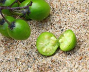 IMG_0702