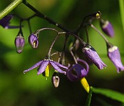 IMG_1798