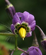 IMG_3597