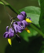 IMG_7734