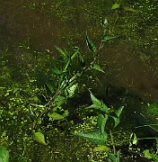 IMG_7735