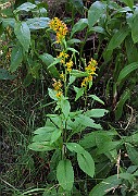 IMG_1543