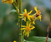 IMG_1546