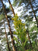 IMG_2841
