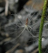 IMG_3424