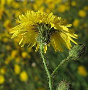 IMG_9821