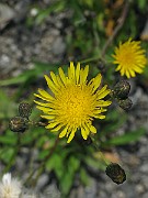 IMG_3398