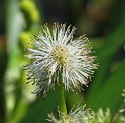 IMG_7693