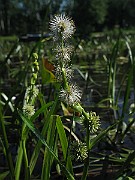 IMG_7695