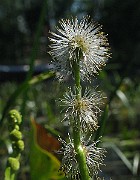 IMG_7695b