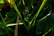IMG_1020